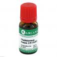 CHELIDONIUM MAJUS LM 18 Dilution