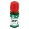 CHELIDONIUM MAJUS LM 30 Dilution