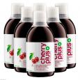 CHERRY PLUS Das Original Montmorency Sauerk.-Konz.
