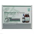 CHLOROPHYLL Synergy 60 Kapseln+20 ml Essenz