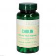 CHOLIN 100 mg Bios Kapseln