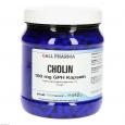 CHOLIN 100 mg GPH Kapseln