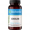 CHOLIN 350 mg Kapseln
