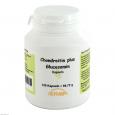 CHONDROITIN GLUCOSAMIN Kapseln