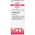 CICHORIUM D 6 Globuli