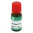 CIMICIFUGA LM 6 Dilution