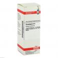 CINNABARIS D 6 Dilution