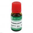 CINNABARIS LM 18 Dilution