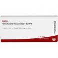 CIRCULUS arteriosus cerebri GL D 10 Ampullen