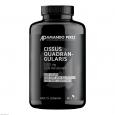 CISSUS QUADRANGULARIS Extrakt 2500 mg vegan Kaps.