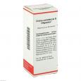 CISTUS CANADENSIS N Oligoplex Liquidum
