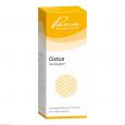 CISTUS SIMILIAPLEX Mischung