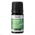 CITRONELLA ÖL ätherisch naturrein