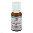 CITRULLUS colocynthis C 30 Globuli
