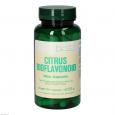 CITRUS BIOFLAVONOID Bios Kapseln