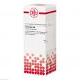 CLEMATIS D 4 Dilution