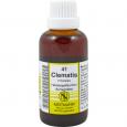 CLEMATIS F Komplex Nr.41 Dilution