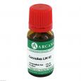 COCCULUS LM 6 Dilution