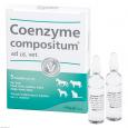 COENZYME COMPOSITUM ad us.vet.Ampullen