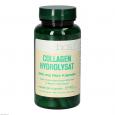 COLLAGEN HYDROLYSAT 280 mg Bios Kapseln