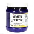 COLLAGEN HYDROLYSAT 280 mg GPH Kapseln