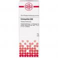 COLOCYNTHIS D 30 Dilution