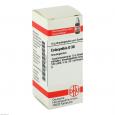 COLOCYNTHIS D 30 Globuli