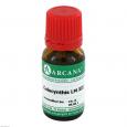 COLOCYNTHIS LM 12 Dilution