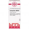 COLOCYNTHIS LM XVIII Dilution