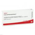 COLON GL Serienpackung 2 Ampullen