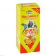 COMBEX V Multivitaminsaft f.Ziervögel