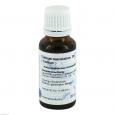 CONIUM D 6 Dilution