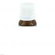 CONIUM MACULATUM D 6 Globuli