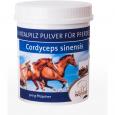 CORDYCEPS VITALPILZ Pulver für Tiere