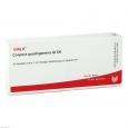 CORPORA quadrigemina GL D 6 Ampullen