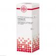 CRATAEGUS D 3 Dilution
