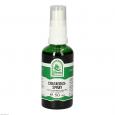 CRATAEGUS SPRAY
