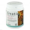 CREATIN MONOHYDRAT 100% Pur Pulver