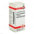 CUPRUM ARSENICOSUM C 200 Globuli