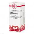 CUPRUM METALLICUM LM III Dilution Ind.Fert.