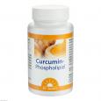 CURCUMIN-PHOSPHOLIPID Dr.Jacob's Kapseln
