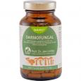 DARMOFUNGAL Kapseln
