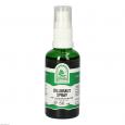 DILLKRAUT SPRAY