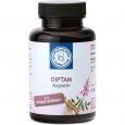 DIPTAM Kapseln