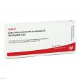 DISCI intervertebrales lumb.GL Serienpack.1 Amp.