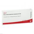 DISCI intervertebrales lumbales GL D 5 Ampullen