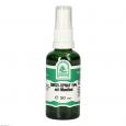 DMSO-SPRAY 15% mit Menthol
