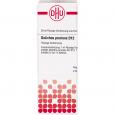 DOLICHOS PRURIENS D 12 Dilution