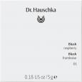 DR.HAUSCHKA Blush 01 raspberry