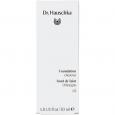 DR.HAUSCHKA Foundation 03 chestnut